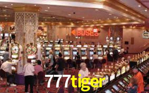 777tiger: Seu Especialista em Apostas Esportivas Brasileiras